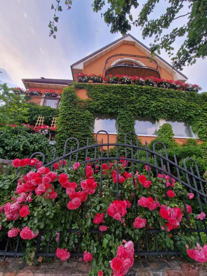Villa Victoria Leba Exterior photo