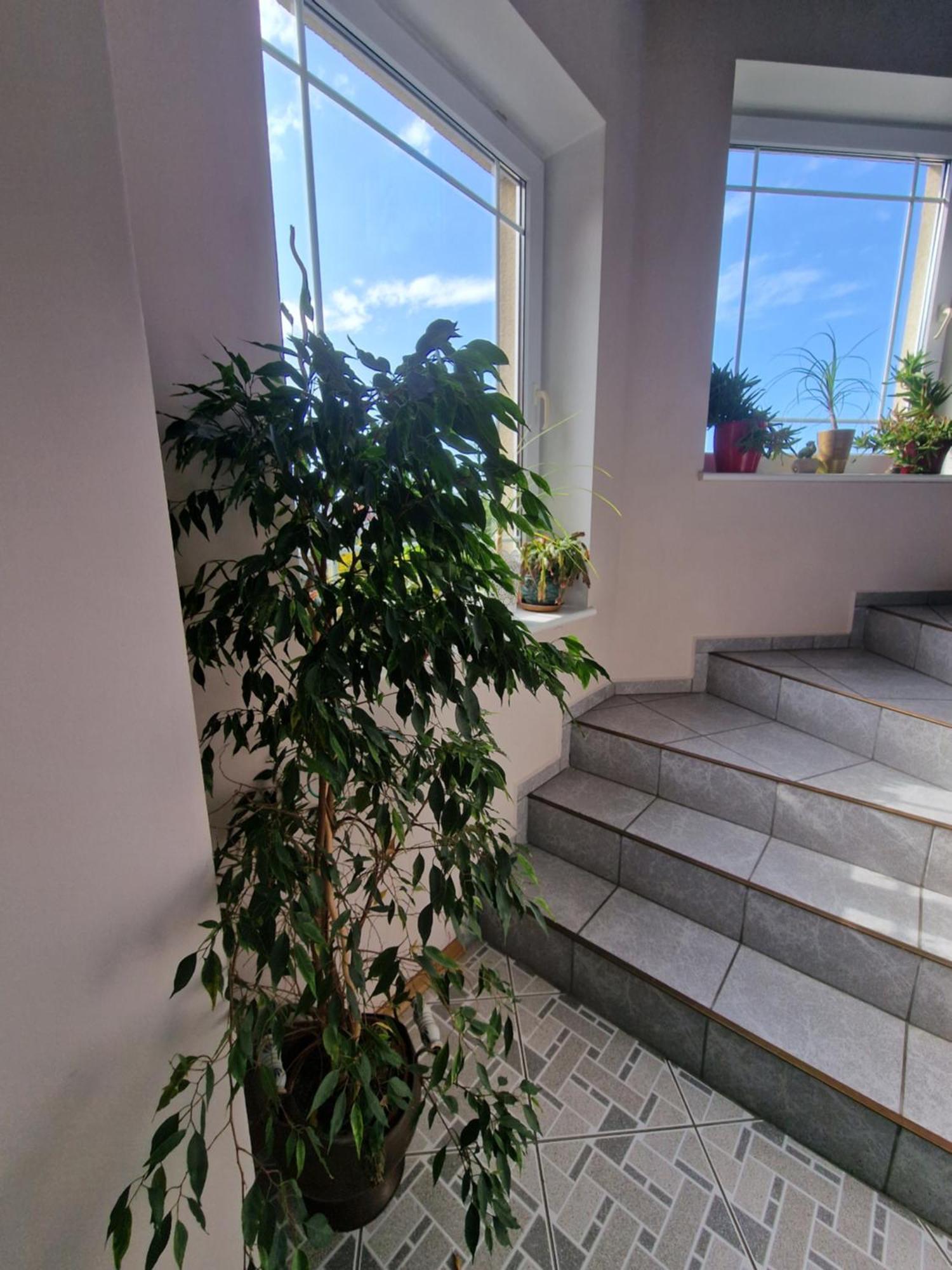 Villa Victoria Leba Exterior photo